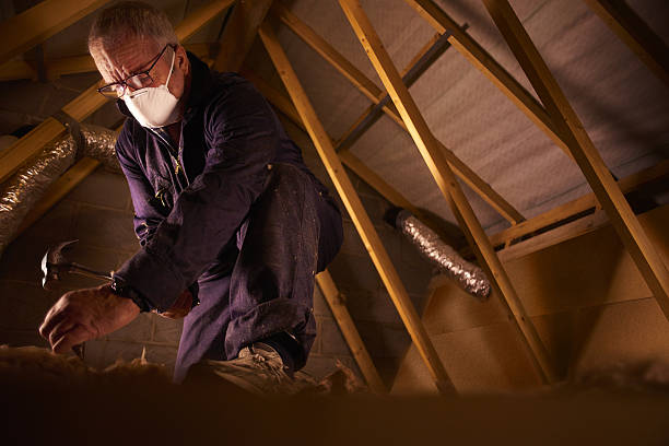 Best Insulation Maintenance and Repair in Jenkins, KY